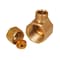 Everflow 3/8 O.D. COMP x 1/2 FIP Reducing 90 Degree Elbow Pipe Fitting, Lead Free Brass C70R-3812-NL - alternate 4